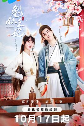 《小丈夫 妻大姐》电视剧高清全集