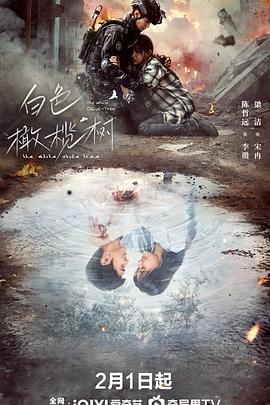 《遗产方案》电影高清完整版