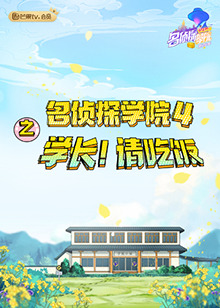 《大清官》电视剧高清全集