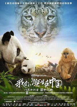 《傲骨贤妻第六季》电视剧高清全集