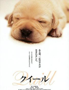 《查莉生长日记第四季》电视剧高清全集