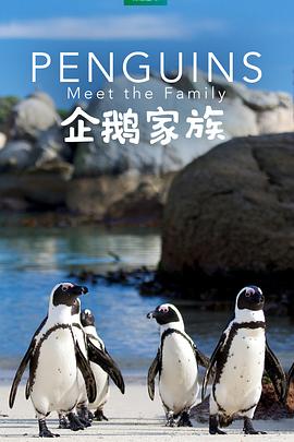 《特洛伊2004》电影高清完整版