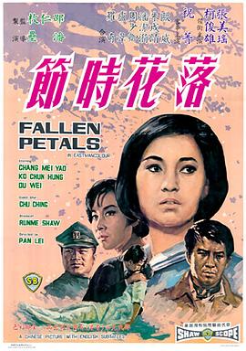 《破茧2国语》电视剧高清全集