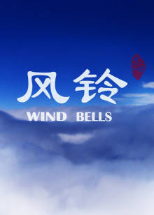 《国家公敌》电影高清完整版