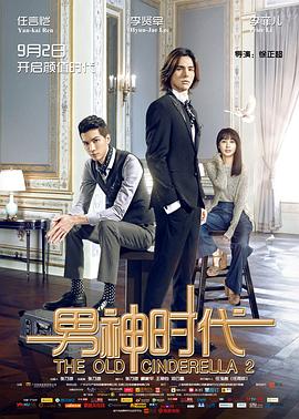 《野鸭子2》电视剧高清全集