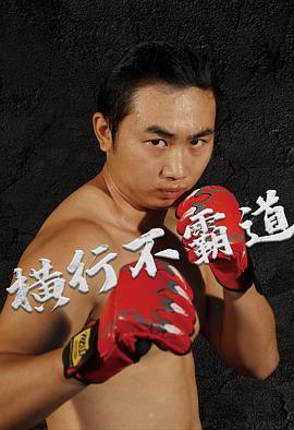 《律界伟人第四季》电视剧高清全集