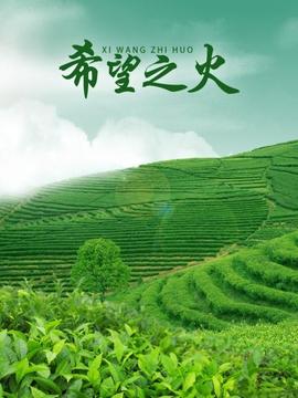 《漂流家乡》动漫高清全集