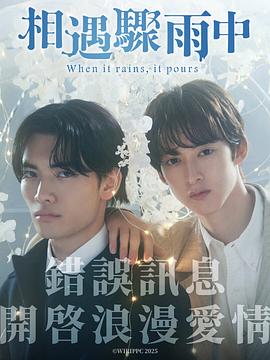 《婚姻历险记》电视剧高清全集
