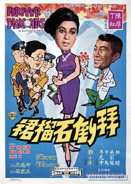 《芝加哥警署第十一季》电视剧高清全集