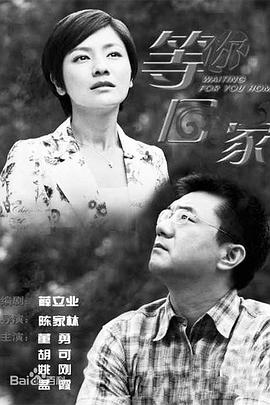 《黑色灰姑娘》电视剧高清全集
