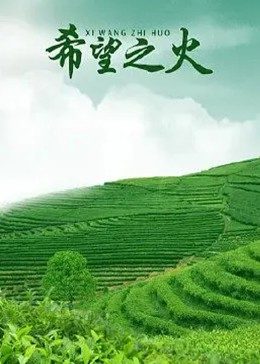 《入梦师之拂衣与阿七》电视剧高清全集