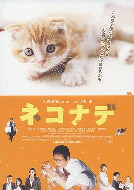 《高兴超人联盟之星之力》动漫高清全集