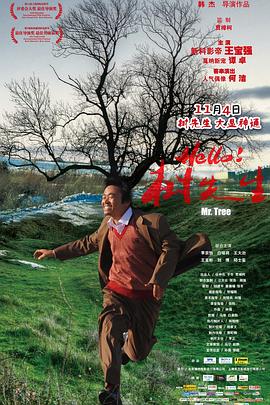 《形意山河之火力拳开》电视剧高清全集
