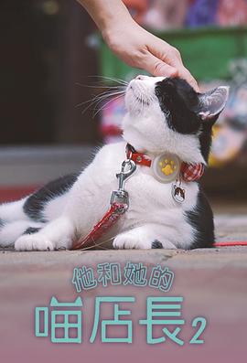 《神探夏洛克第二季》电视剧高清全集