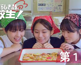 《寻宝伙伴第一季》电视剧高清全集
