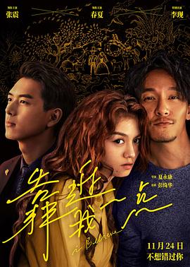 《动物特种部队》电视剧高清全集