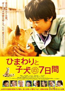《枪声弹影》电影高清完整版