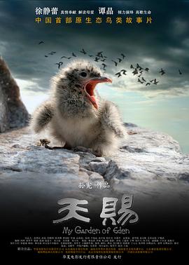 《玉马坠》电影高清完整版