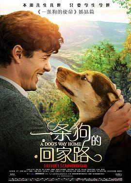 《69式夏天》电影高清完整版