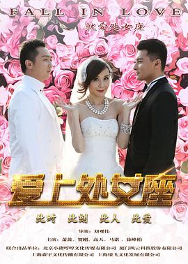 《B级文件【影视说明】》电影高清完整版