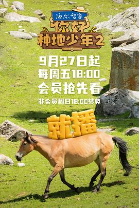 《北海鲸梦》电视剧高清全集