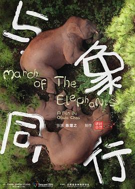 《群居姐妹》动漫高清全集