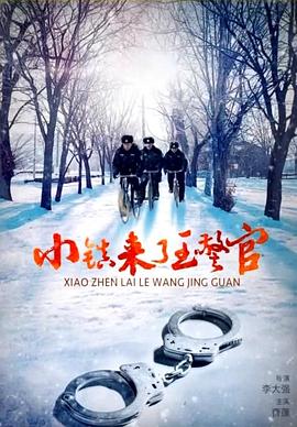 《月拢雁西归》电视剧高清全集