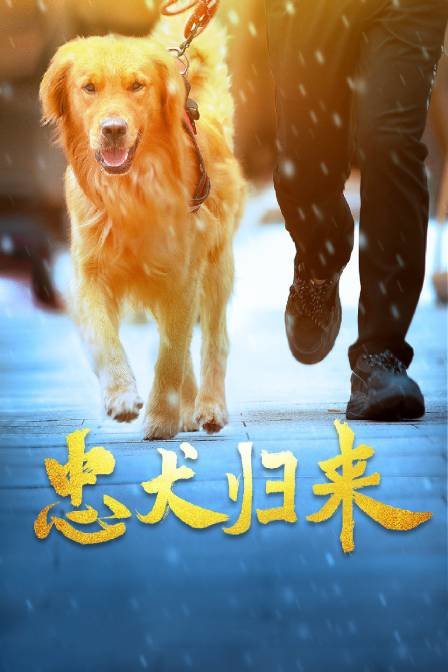 《森林猎凶》电影高清完整版