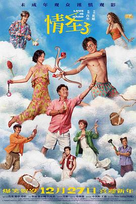 《妙警贼探第五季》电视剧高清全集