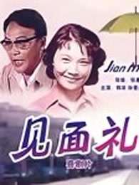 《家庭经济学第一季》电视剧高清全集