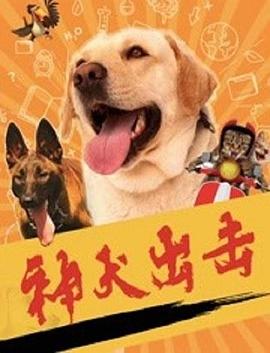 《流星》电视剧高清全集