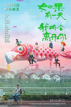 《求爱者》电影高清完整版