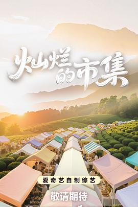 《新美人计》电视剧高清全集