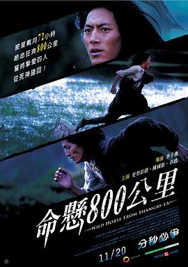 《龙凤令》电视剧高清全集