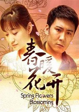 《巴黎危机》电影高清完整版