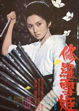 《飞翔于天边的夜鹰》电视剧高清全集