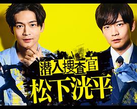 《飞翔于天边的夜鹰》电视剧高清全集