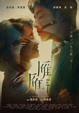 《99号公路》电视剧高清全集