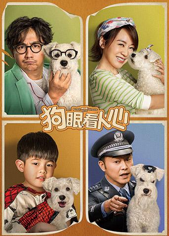 《立刻全国》电视剧高清全集