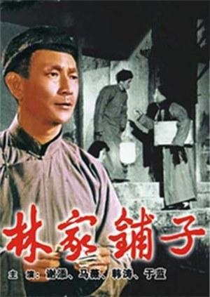 《夙夜集》电视剧高清全集