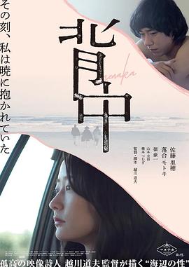《兵王》电视剧高清全集