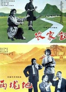 《无法超度的她》电视剧高清全集