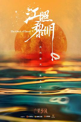 《芳华年代2》电视剧高清全集