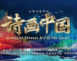 《好大一个家》电视剧高清全集