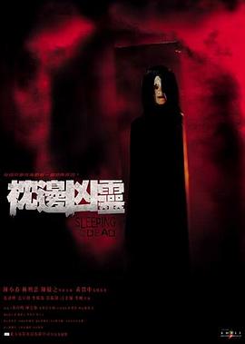 《九条的大罪》电视剧高清全集