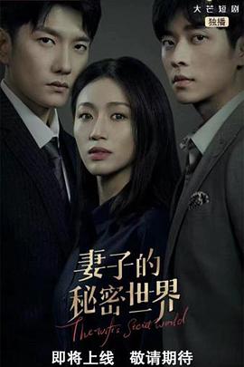 《记账人》电视剧高清全集