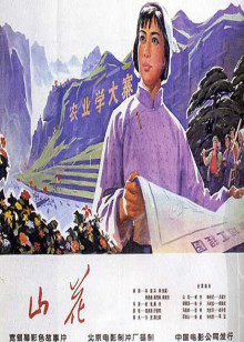 《玩转全家福》电影高清完整版