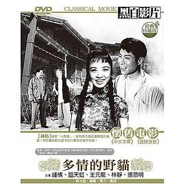 《贝杰曼与我：里克·斯坦的故事》电影高清完整版