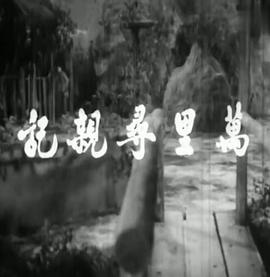 《空战英雄》电影高清完整版