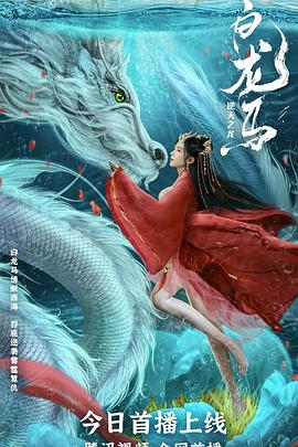 《沃尔夫医师》电视剧高清全集